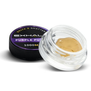 SHATTER – PURPLE PUNCH