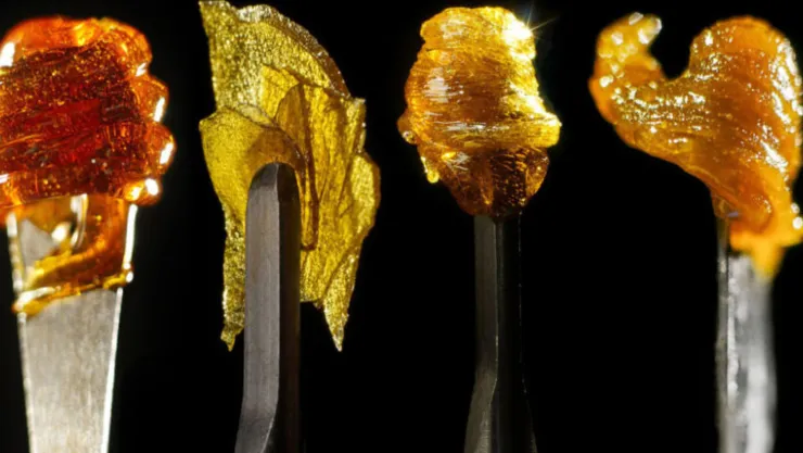 Concentrates